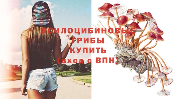 бутират Баксан