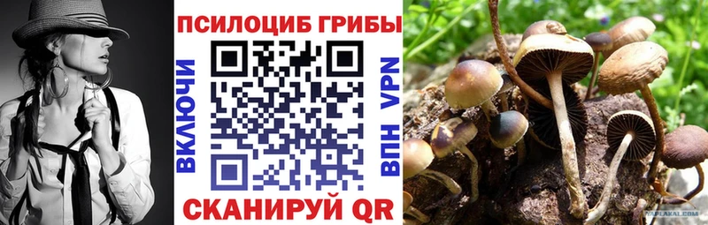 МЕГА ТОР купить наркотики сайты Белогорск Галлюциногенные грибы Psilocybine cubensis